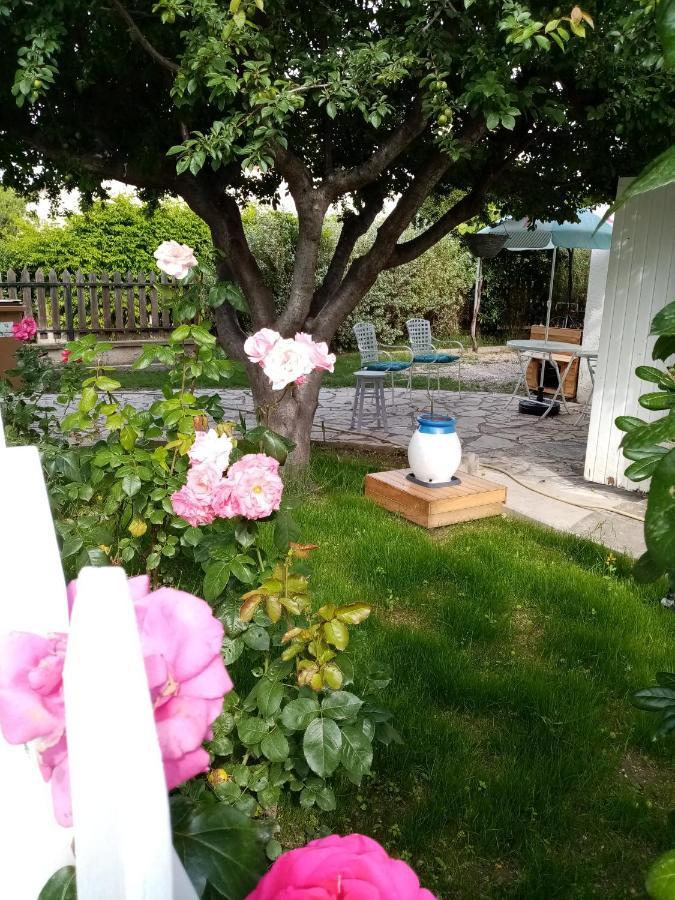 Le Flamant Rose Bed and Breakfast Salin-de-Giraud Εξωτερικό φωτογραφία
