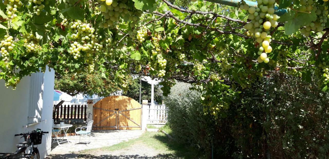 Le Flamant Rose Bed and Breakfast Salin-de-Giraud Εξωτερικό φωτογραφία