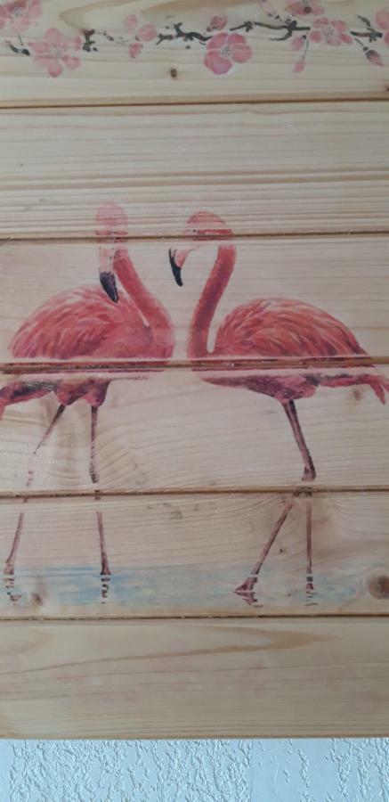 Le Flamant Rose Bed and Breakfast Salin-de-Giraud Εξωτερικό φωτογραφία